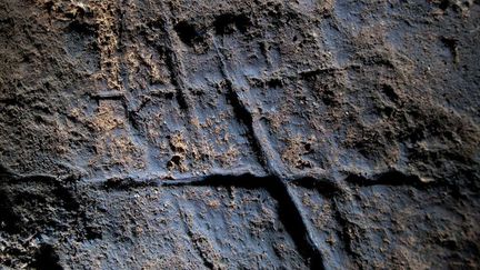 Gravure néandertalienne découvrerte en septembre 2014 dans la grotte de Gorham, a Gibraltar, remontant à plus de 39.000 ans
 (Stuart Finlayson/AP/SIPA)