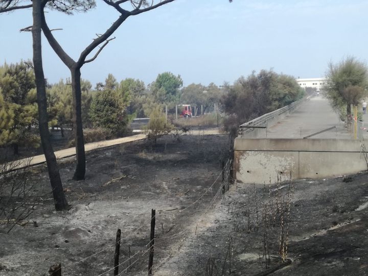 Les pompiers s'assurent que le feu ne reprend pas&nbsp;à Izadia. (THIBAULT VINCENT / RADIO FRANCE)