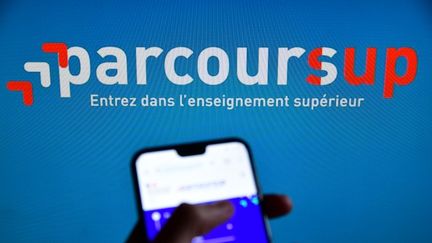 La plateforme Parcoursup ouvre ses portes mercredi 18 décembre. (ROMAIN DOUCELIN / AFP)