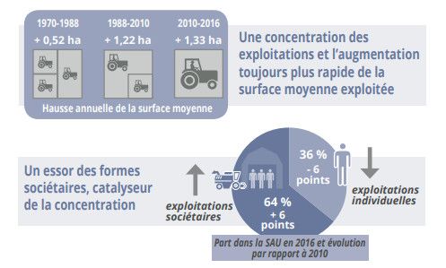 Le marché des terres agricoles est de plus en plus financiarisé, souligne le bilan annuel de l'opérateur FNSafer. (FNSAFER)