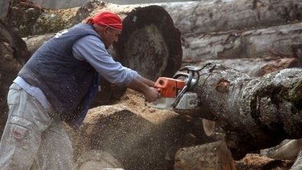 Les Grecs se retournent vers le bois pour se chauffer. (SAKIS MITROLIDIS / AFP)