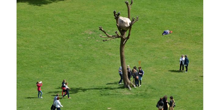 "Idee di pietra" de l'artiste italien Giuseppe Penone, exposé dans le Karslaue Park, pendant la Documenta de Kassel (Allemagne) en juin 2012
 (Uwe Zucchi/DPA/MAXPPP)