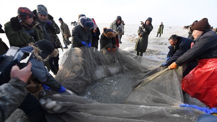 Record de pêche sous glace