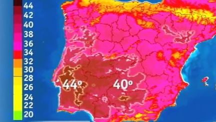 Canicule : l'Europe dans la fournaise