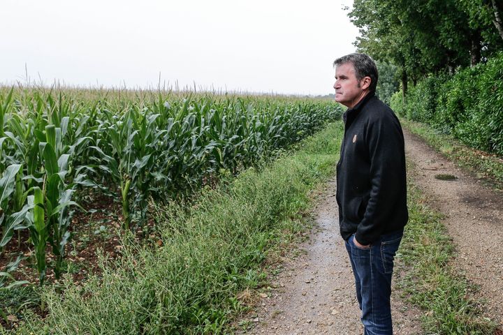 Paul Fran&ccedil;ois, dans sa ferme de Bernac (Charente), le 28 juillet 2015. (THIBAUD MORITZ / AFP)