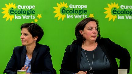 Europe-Ecologie les Verts recherche le candidat providentiel