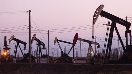 Le champ pétrolifère de Belridge près de McKitterick, en Californie (Etats-Unis), le 3 novembre 2021.&nbsp; (MARIO TAMA / GETTY IMAGES NORTH AMERICA / AFP)