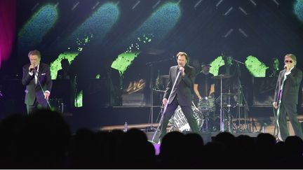 Eddy Mitchell,&nbsp;Johnny Hallyday et&nbsp;Jacques Dutronc en concert&nbsp;&nbsp;au Palais Omnisports de Paris-Bercy le6 novembre 2014 (SIPA)