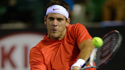 L'Argentin Juan Martin Del Potro