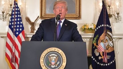 Le président américain, Donald Trump, annonce&nbsp;une série de frappes occidentales contre l'arsenal chimique du régime&nbsp;syrien, le 13 avril 2018 à la Maison Blanche, à Washington (Etats-Unis).&nbsp; (MANDEL NGAN / AFP)