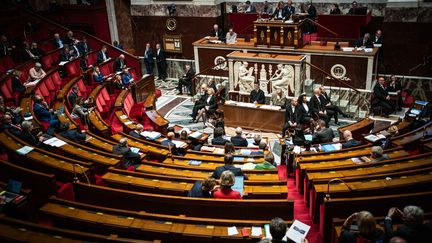 The hemicycle of the National Assembly, November 7, 2023 in Paris.  (XOSE BOUZAS / HANS LUCAS / AFP)