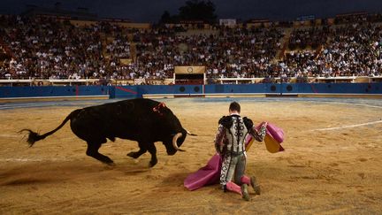 Le matador espagnol Daniel Luque effectue une passe sur un taureau Pedraza de Yeltes à l'arène Marcel Dangou, à Bayonne, le 14 août 2019.. (IROZ GAIZKA / AFP)