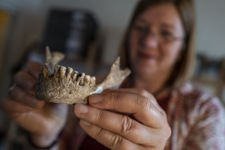 Une femme de 5000 ans découverte en Allemagne (JOHN MACDOUGALL / AFP)