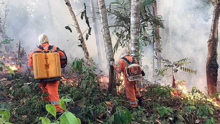 Incendie en Amazonie brésilienne, à Porto Velho, au Brésil, le 18 août 2019. (PORTO VELHO FIREFIGHTERS HANDOUT / MAXPPP)