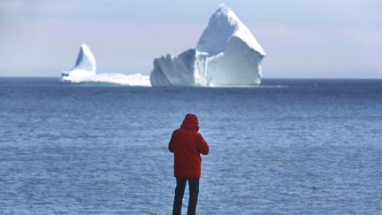 Canada : un iceberg coincé au large de Terre-Neuve