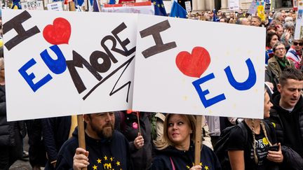 De nombreux slogans réclament un maintien dans l'Europe. (NIKLAS HALLE'N / AFP)