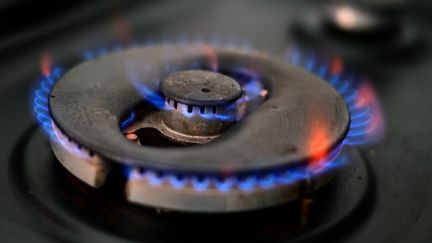 Le&nbsp;tarif réglementé du gaz va augmenter&nbsp;de 12,6% en moyenne au 1er octobre. Photo d'illustration. (PAUL ELLIS / AFP)