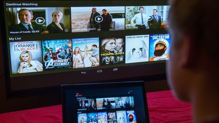 Un homme regarde la page d'accueil de Netflix, le 14 septembre 2014, à Berlin (Allemagne). (BERND VON JUTRCZENKA / DPA / AFP)