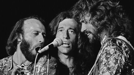 Les Bee Gees en 1979 à Miami. De gauche à droite, Maurice, Robin et Barry Gibb
 (Phil Sandlin / AP / SIPA)