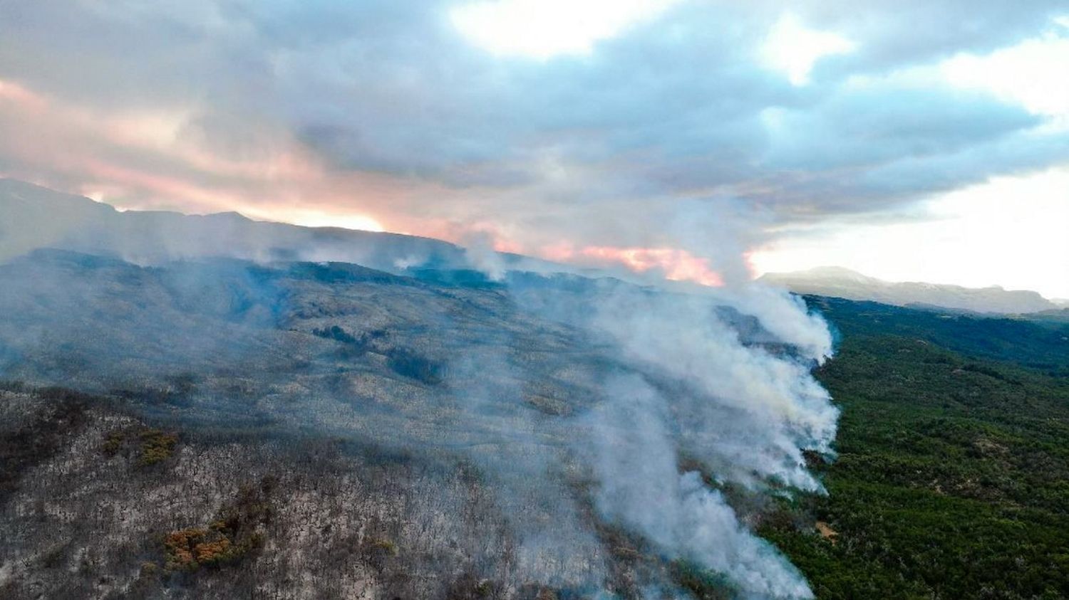 Een ‘uit de hand gelopen’ brand verwoestte bijna 600 hectare bos dat op de Werelderfgoedlijst van UNESCO staat