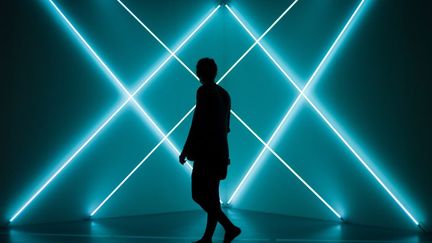 "Triple X Neonly" de François Morellet, exposé au Grand Palais dans le cadre de l'exposition "Dynamo" (avril 2013)
 (Fred Dufour / AFP)