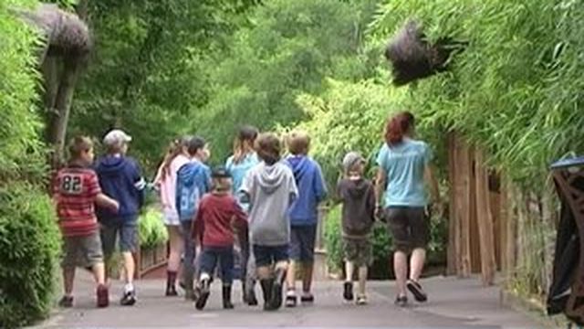 rencontre avec les soigneurs jardin des plantes