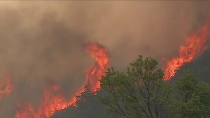 Dans l'Hérault, deux départs de feux ont eu lieu simultanément, mardi 26 juillet, dans deux communes différentes. Sur place, 600 pompiers, deux Canadair et un bombardier d'eau sont mobilisés.&nbsp; (FRANCE 2)