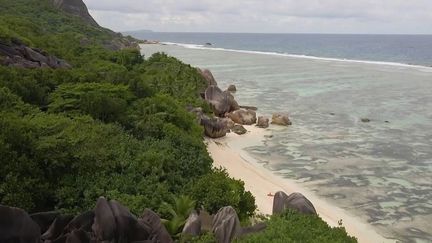 Seychelles : dans les eaux turquoise d'Anse Source d'Argent, un paradis terrestre&nbsp; (France 2)