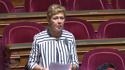 La Sénatrice du Pas-de-Calais, Catherine Fournier, lors d'une session au Sénat à Paris, le 4 juin 2019. (SENAT)