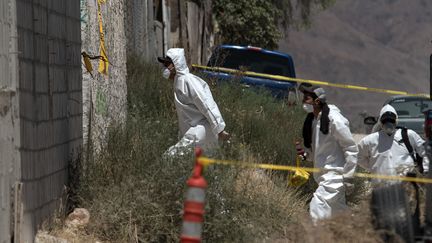 Intervention de la police scientifique mexicaine sur&nbsp;un charnier découvert à Tijuana, le 17 août 2017.&nbsp; (GUILLERMO ARIAS / AFP)