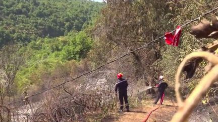 Vague de chaleur : l’Ardèche fait face à de multiples incendies (FRANCE 2)