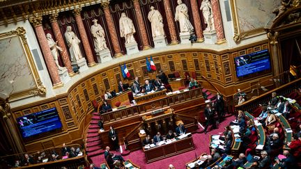 Dans l'hémicycle du Sénat, à Paris, le 23 novembre 2022. (XOSE BOUZAS / HANS LUCAS / AFP)