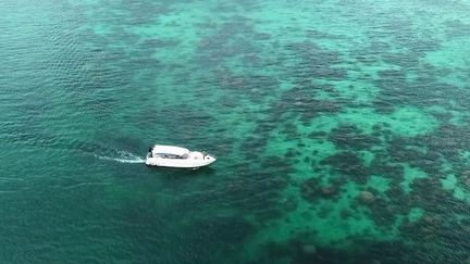 Thaïlande : à la découverte de Koh Talu, petite île préservée des touristes (France 2)