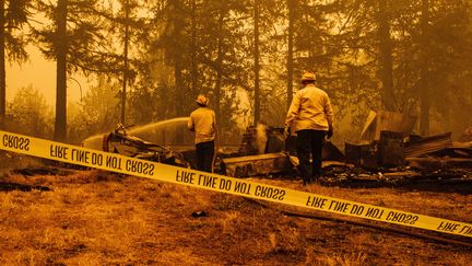 Incendies aux États-Unis : paysage de désolation dans l'Oregon