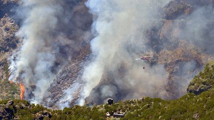 A civil protection helicopter fights a forest fire raging in the Pico do Areeiro mountain, on August 21, 2024, on the Portuguese island of Madeira. (HELDER SANTOS / AFP)