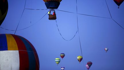 Le festival de montgolfi&egrave;res de Readington (New Jersey, Etats-Unis),&nbsp;le 28 juillet. (ERIC THAYER / REUTERS)