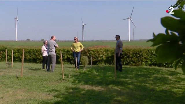 Energie : réduction d'impôts pour un couple vivant près d'éoliennes, dans le Maine-et-Loire