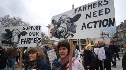 Manifestation d'un millier d'agriculteurs britanniques, le 23 mars 2016 à Londres, contre la chute des prix agricoles. (Citizenside/Philip Robins)