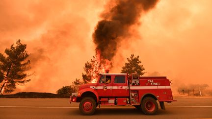 Incendies en Californie (JOSH EDELSON / AFP)