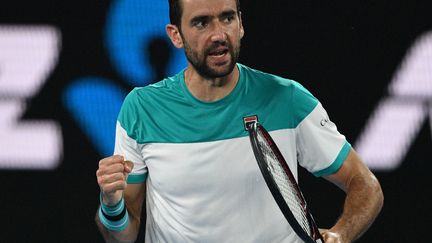 Le Croate Marin Cilic (SAEED KHAN / AFP)