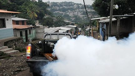 Les rues des villes et de leurs alentours sont enfumées car, selon le ministre de la Santé, Salvador Pineda, une «explosion des chiffres» est constatée depuis le début de l'épidémie.
 
11.000 cas de dengue ont été répertoriés depuis janvier 2013 dans le pays, dix personnes en sont mortes. (AFP PHOTO /Orlando SIERRA)