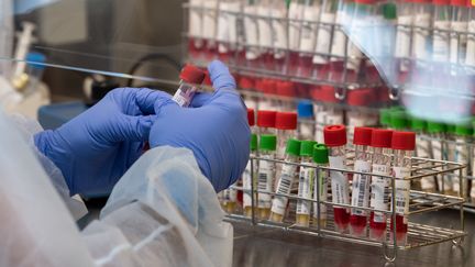 Un technicien de laboratoire manipule des échantillons par écouvillonnage dans le service de microbiologie&nbsp;de l'hôpital Emile-Muller de Mulhouse, le 17 novembre 2020. (PATRICK HERTZOG / AFP)