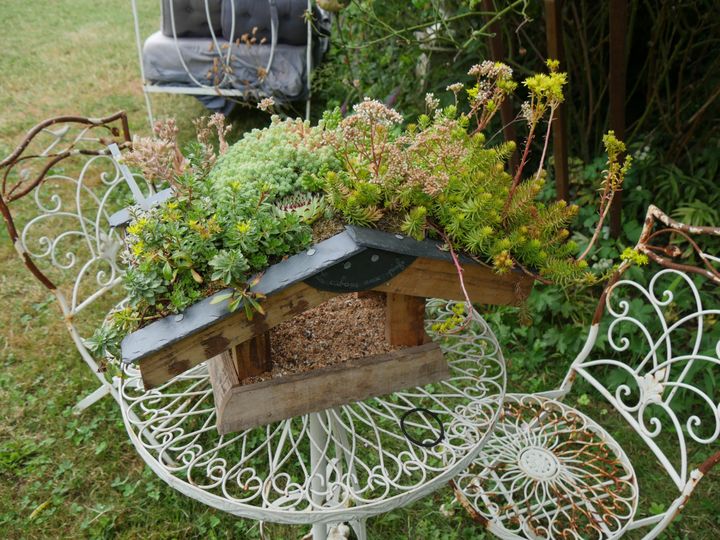 Une mangeoire (La Cabane au piaf) et son toit végétalisé par le pépiniériste Franck Poly (Sempervivum et Cie). Utile et joli ! (ISABELLE MORAND / RADIO FRANCE / FRANCE INFO)