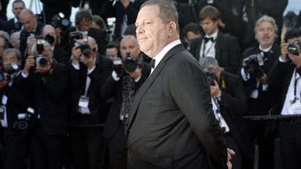 Le producteur Harvey Weinstein au festival de Cannes, en mai 2013. (ANNE-CHRISTINE POUJOULAT / AFP)