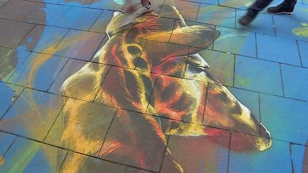 Le graffeur Dan 23 crée une fresque horizontale dans le quartier de la Vignette à Strasbourg (France 3 Grand Est)