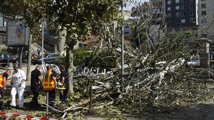 &nbsp; (De nombreux arbres sont tombés sur les voies dans la région, coupant la circulation © MaxPPP)