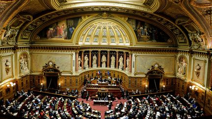 L'hémicycle du Sénat, à Paris, le 10 janvier 2019. (ERIC BERACASSAT / AFP)