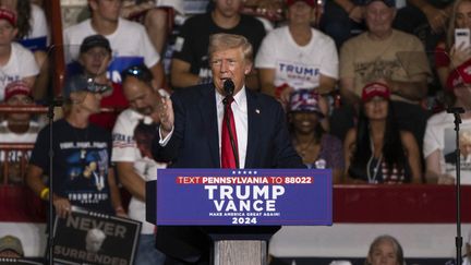 Le candidat des Républicains à la présidentielle américaine, Donald Trump, tient un meeting à Harrisburg (Pennsylvanie, Etats-Unis), le 31 juillet 2024. (JOE LAMBERTI / AFP)