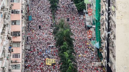 Une manifesation contre un projet de loi controversé sur l'extradition à Hong Kong, le 9 juin 2019. (PHILIP FONG / AFP)