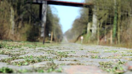 Les pavés légendaires de la Trouée d'Arenberg, haut-lieu de la course cycliste Paris-Roubaix.&nbsp; (FRANCK FIFE / AFP)